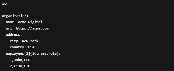 image showing an organization schema in TOON format